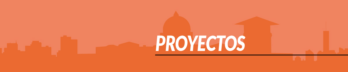 banner-proyectos.jpg